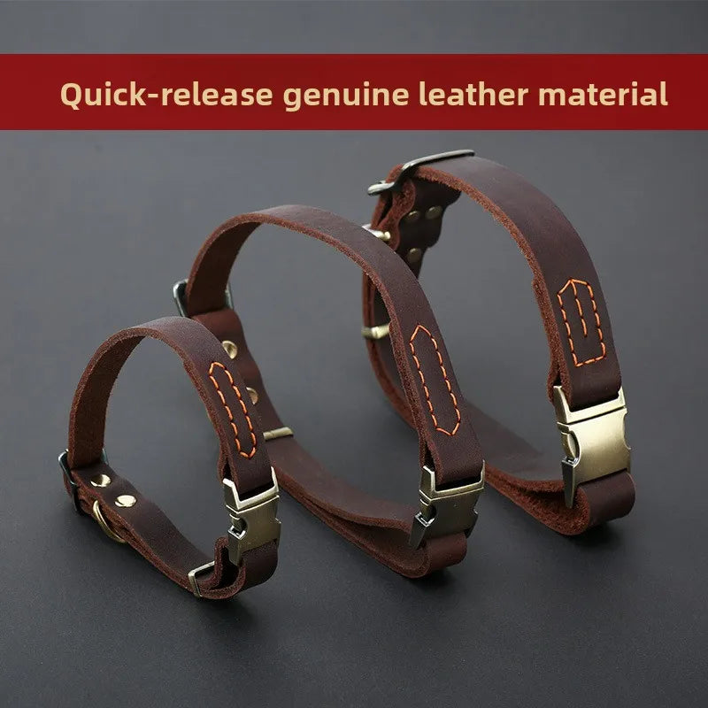 Coleira para cães em pele genuína com fivela de libertação rápida - Segura e durável  (Certificação CE)