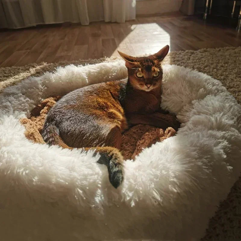 Cama super macia para cães,e para gatos, redonda, almofada, para animais de estimação