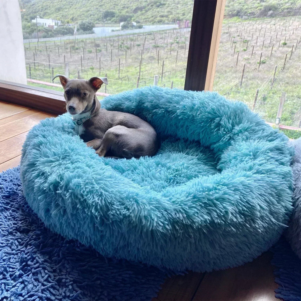 Cama super macia para cães,e para gatos, redonda, almofada, para animais de estimação
